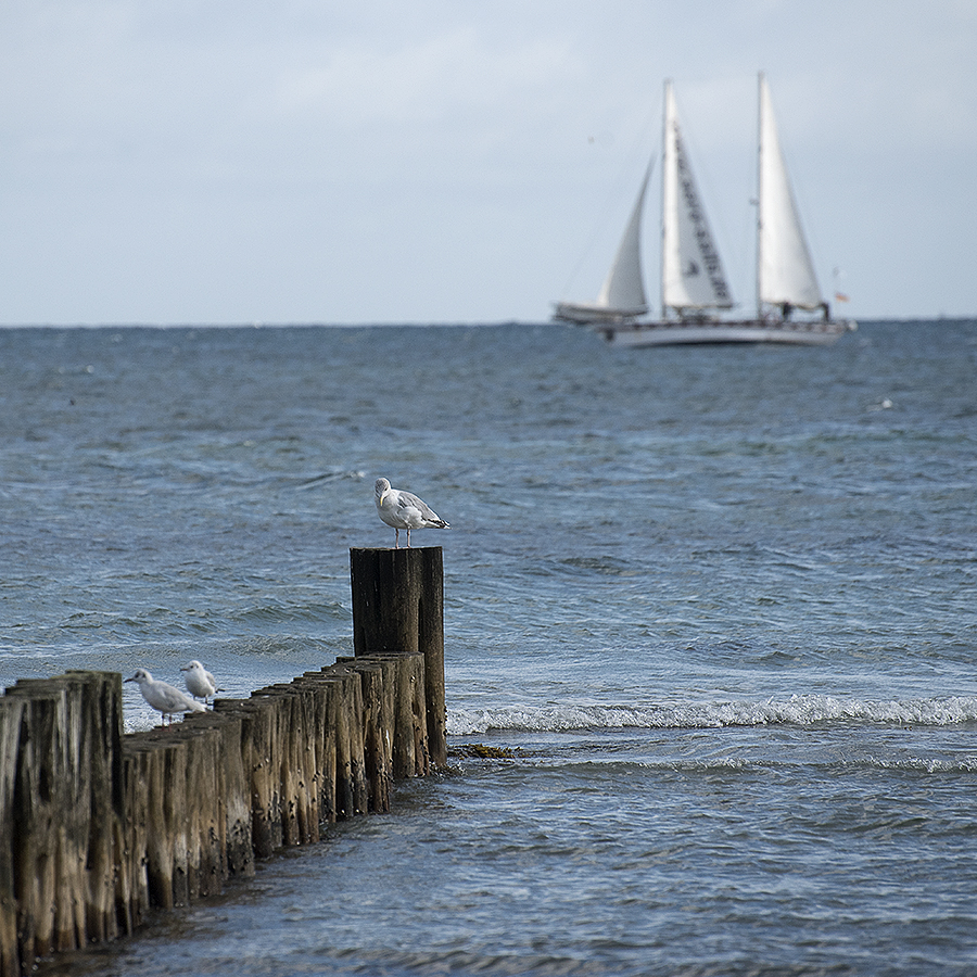 Schleswig Holstein Ostsee 09_2015 KA7_6359 als Smartobjekt-1 Kopie.jpg